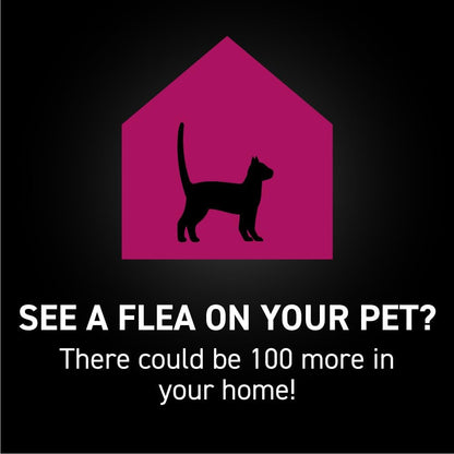 NEXTSTAR Flea and Tick Prevention for Cats, Repellent and Control, Fast Acting Waterproof Topical Drops, Flea Prevention for Cats Over 3.5 lbs, 3 Monthly Doses