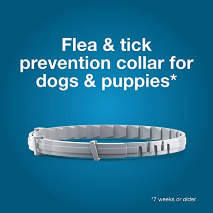 Seresto Large Dog Flea and Tick Collar for Dogs Above 18 lbs – 8 Month Protection