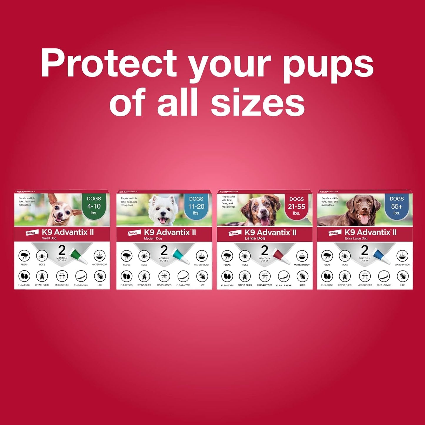 K9 Advantix II Small Dog Vet-Recommended Flea, Tick & Mosquito Treatment & Prevention | Dogs 4-10 lbs. | 6-Mo Supply