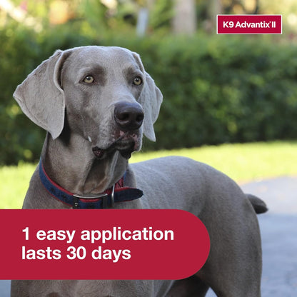 K9 Advantix II for Dogs 55+ lbs