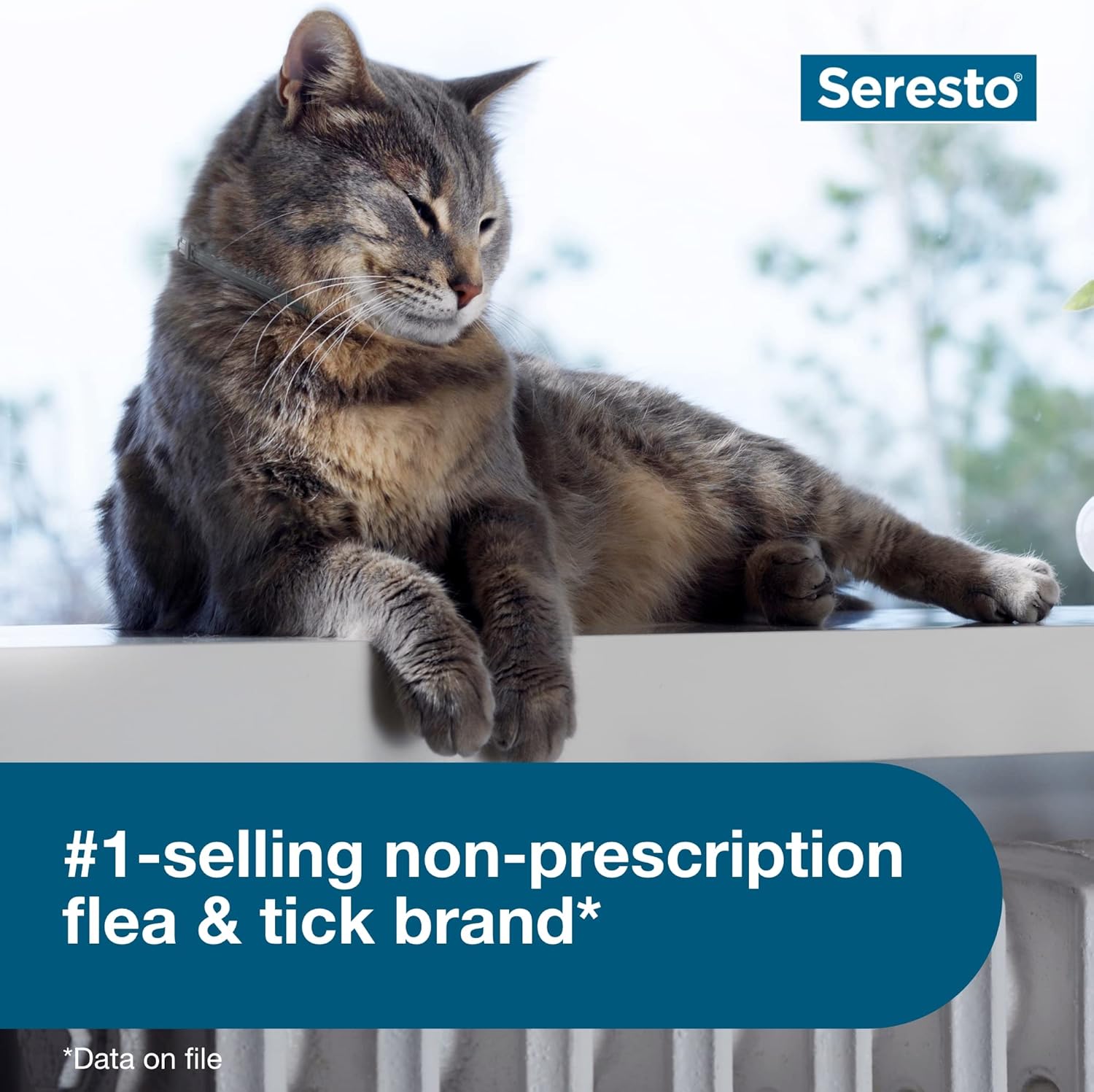 Seresto Cat