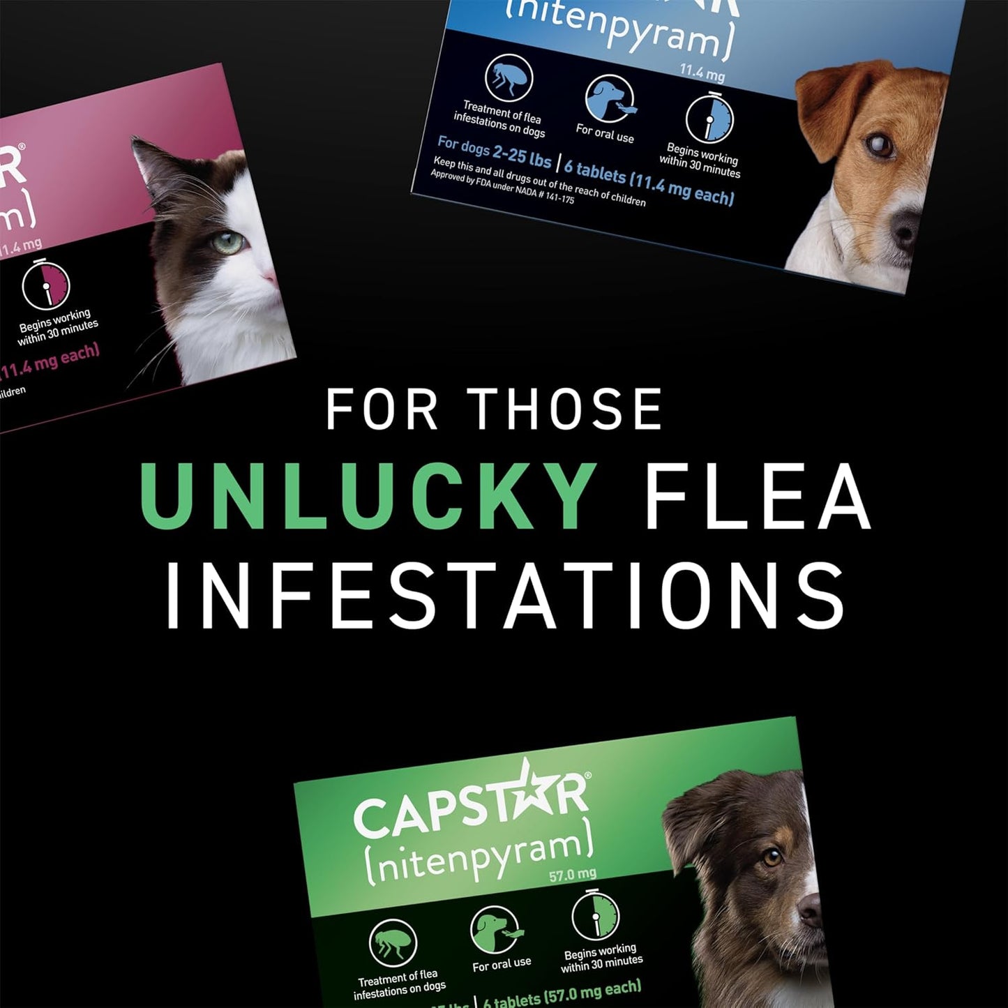 Capstar Nitenpyram 11.4mg Flea Treatment for Cats 