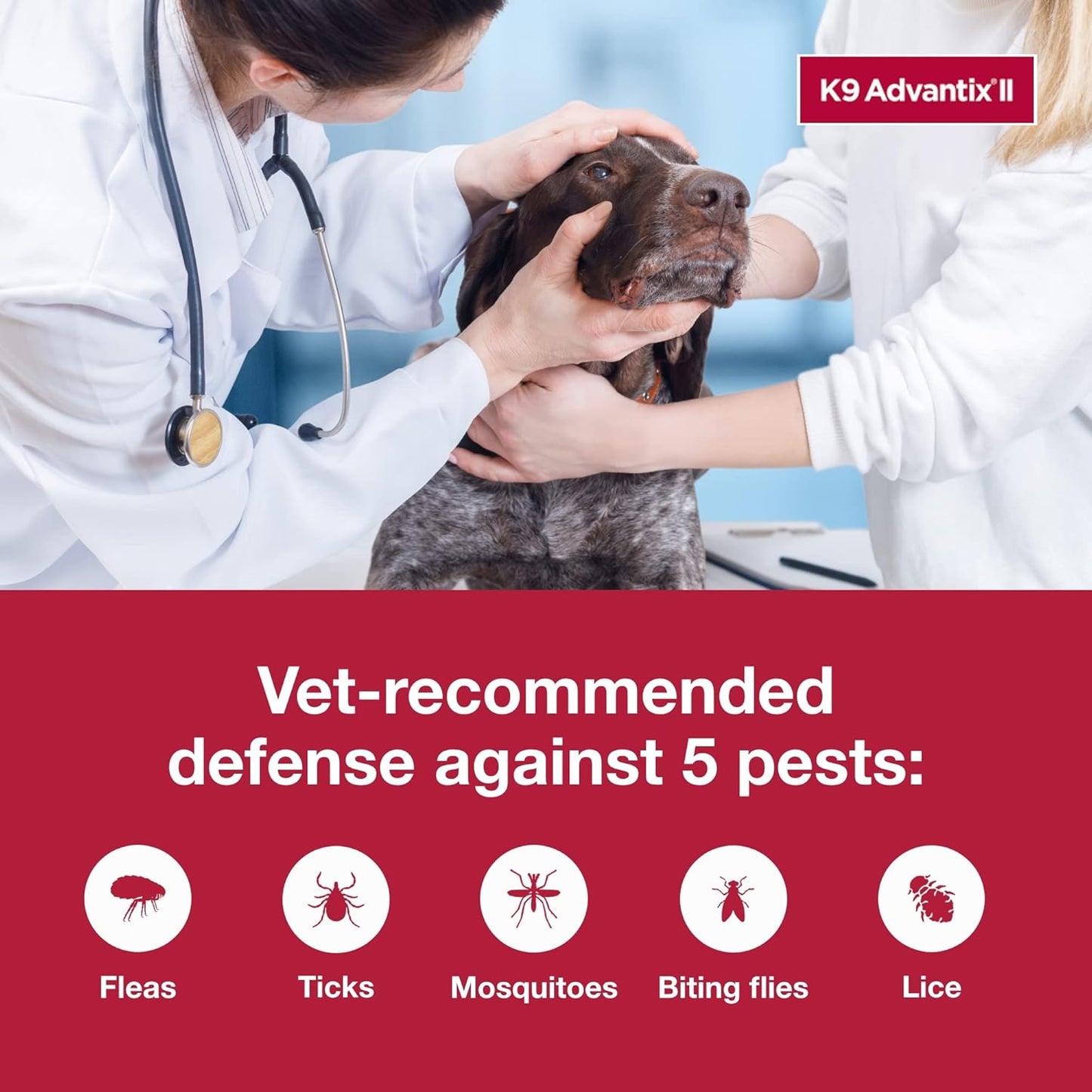 K9 Advantix II for Dogs 55+ lbs