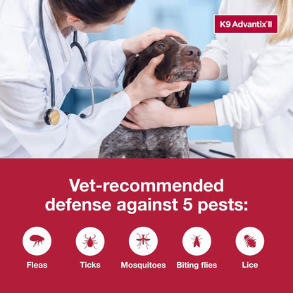 K9 Advantix II for Dogs 55+ lbs