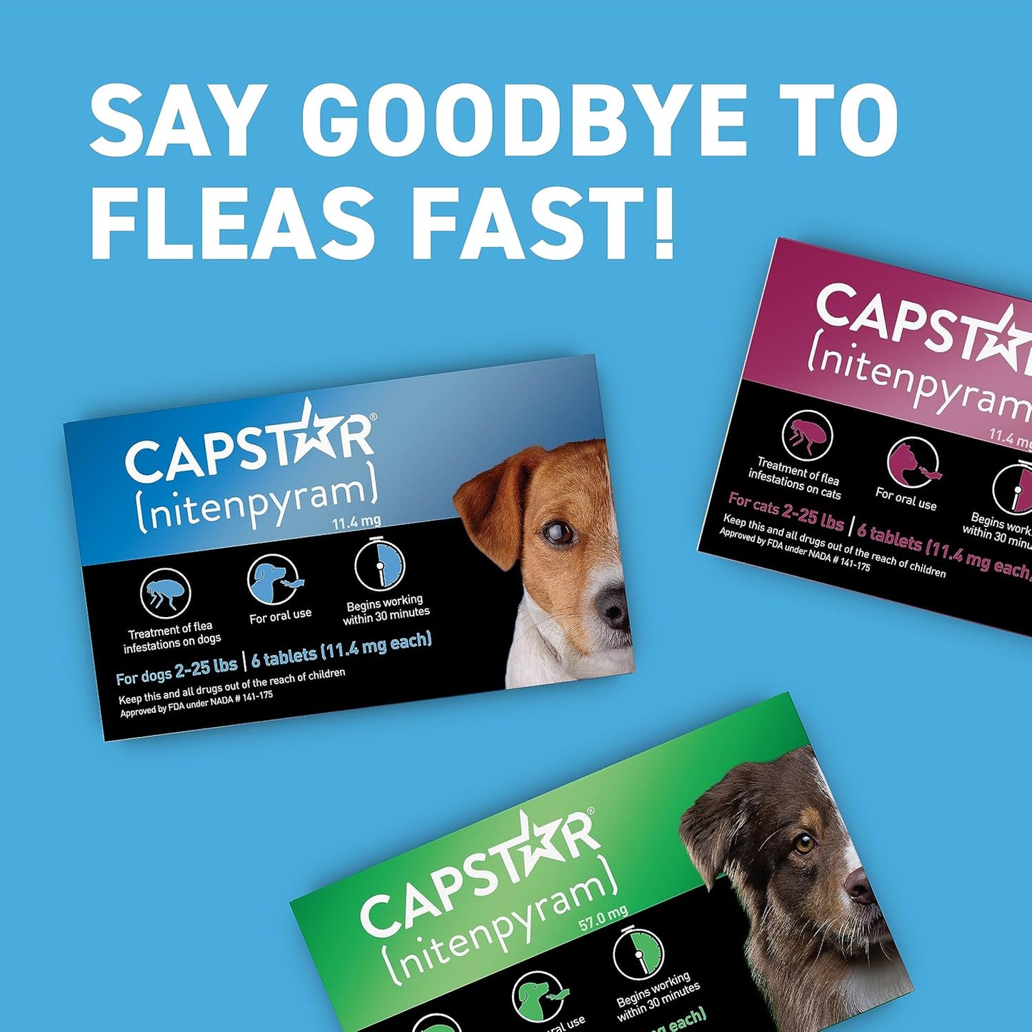 Capstar Nitenpyram 11.4mg Flea Treatment for Small Dogs 2-25 lbs – 6 Tablets