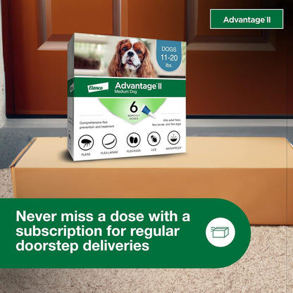Advantage II Medium Dog Vet-Recommended Flea Treatment & Prevention | Dogs 11-20 lbs. | 6-Month Supply