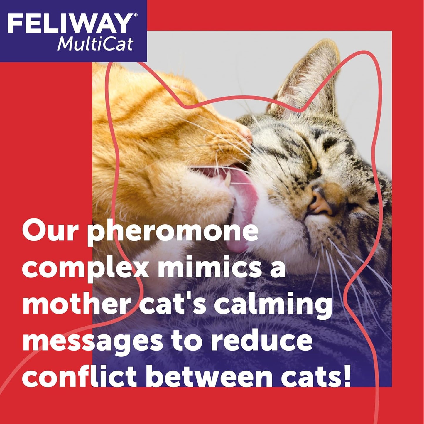 FELIWAY® MultiCat 30 Day Cat Calming Refill for Pheromone Diffuser, 48ml - 1x 30 Day - Helps Reduce Conflicts and Signs of Tension in Multi-Cat Households