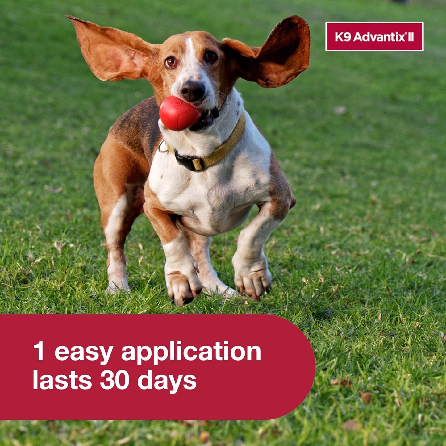 K9 Advantix II for Medium Dogs 11-20 lbs Flea Tick Mosquito Treatment 6 Doses