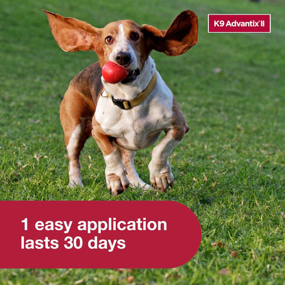 K9 Advantix II for Medium Dogs 11-20 lbs Flea Tick Mosquito Treatment 6 Doses