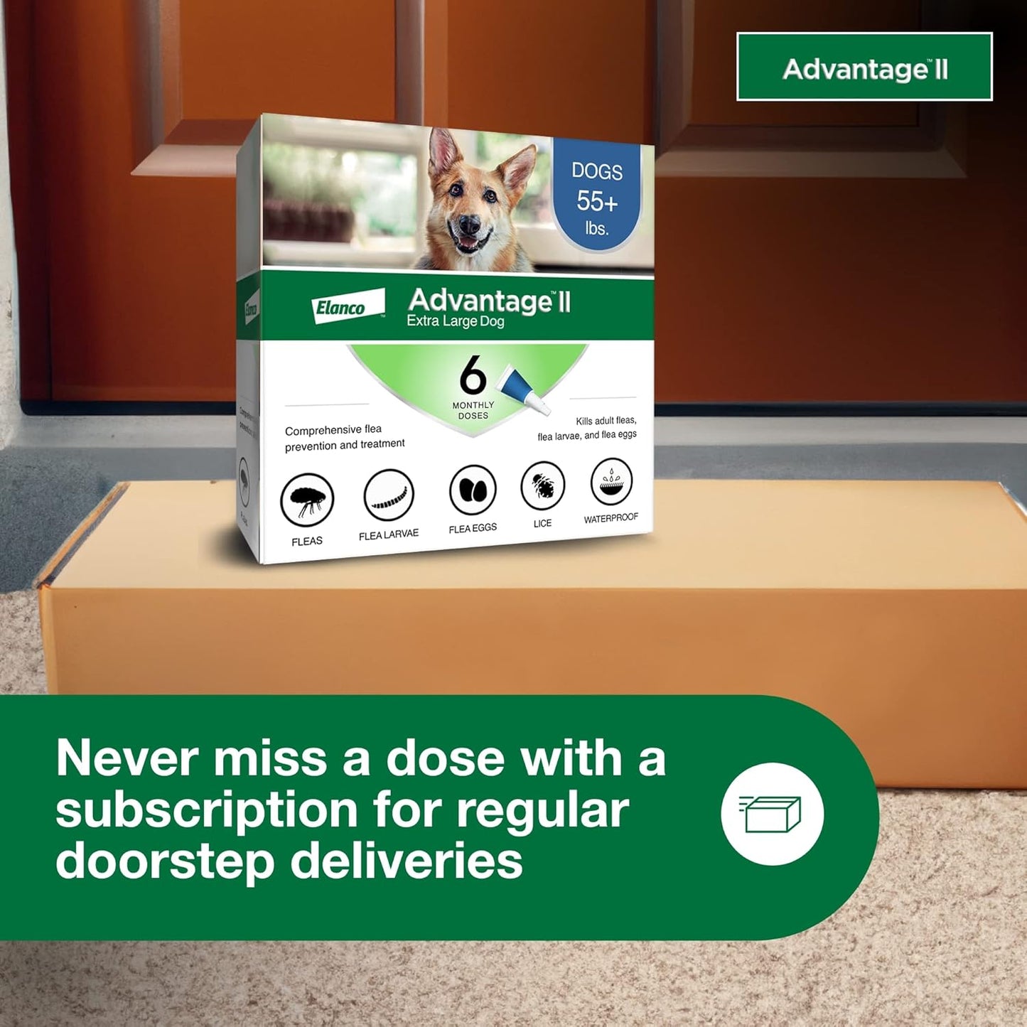 Advantage II XL Dog Vet-Recommended Flea Treatment & Prevention | Dogs Over 55 lbs. | 6-Month Supply