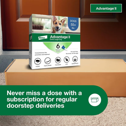 Advantage II XL Dog Vet-Recommended Flea Treatment & Prevention | Dogs Over 55 lbs. | 6-Month Supply