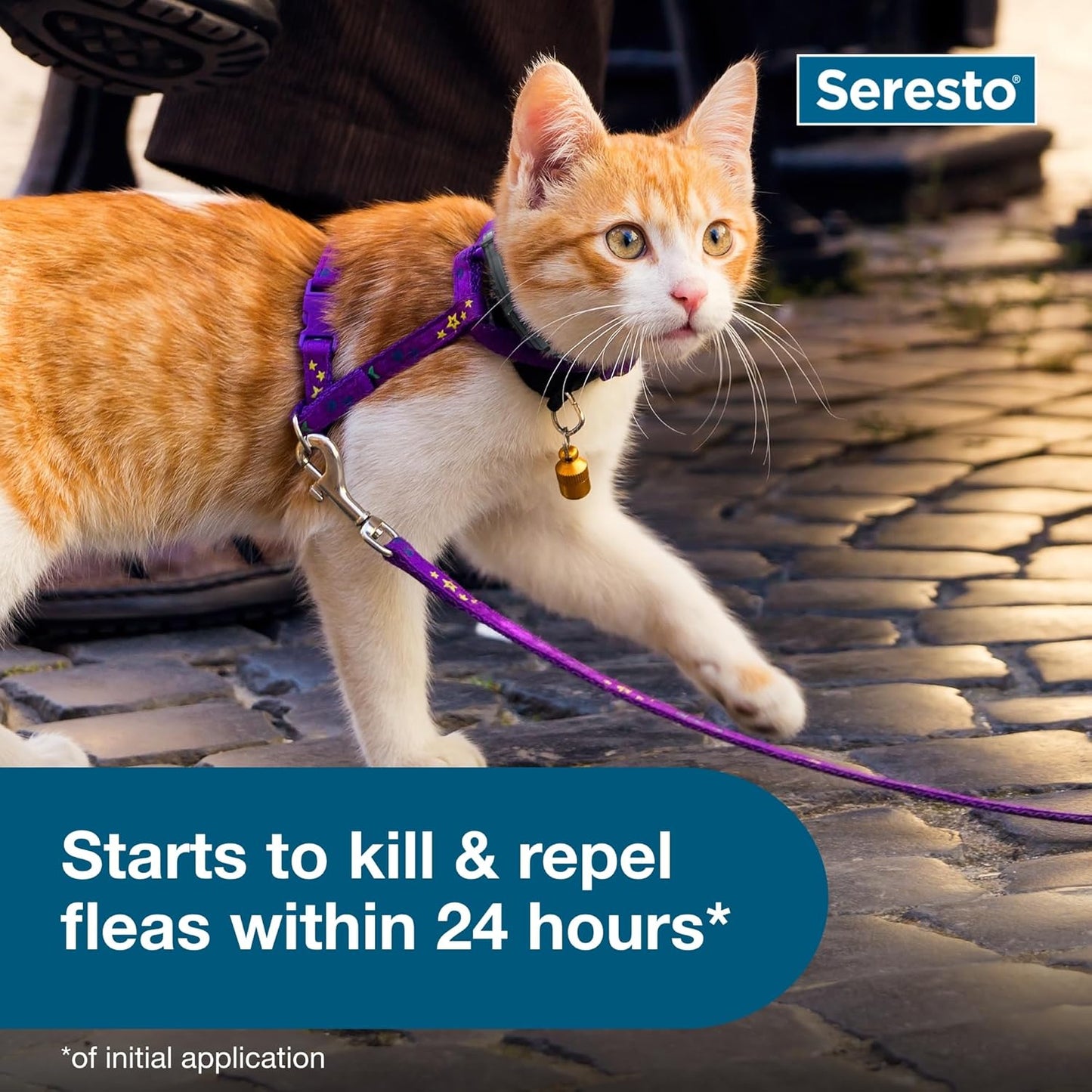 Seresto Cat