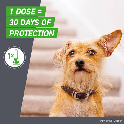 FRONTLINE Plus Flea and Tick Treatment for Small Dogs Upto 5 to 22 lbs