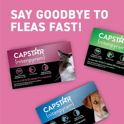 Capstar Nitenpyram 11.4mg Flea Treatment for Cats 2-25 lbs – 6 Tablets