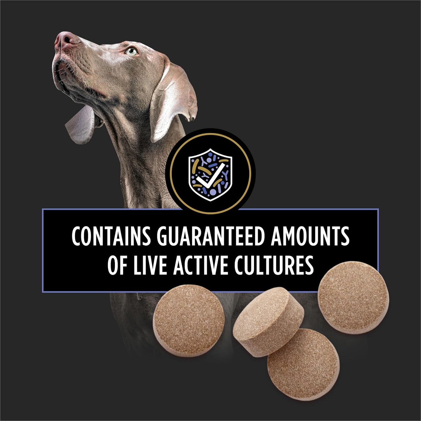 Purina Pro Plan FortiFlora Canine Probiotic Supplement for Dogs – 90 Chewable Tablets
