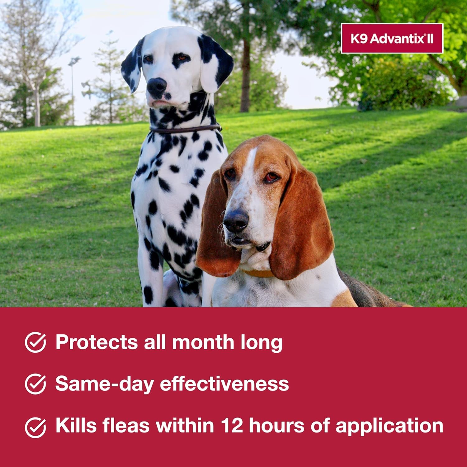 K9 Advantix II for Dogs 55+ lbs