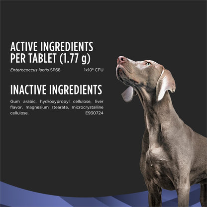Purina Pro Plan FortiFlora Canine Probiotic Supplement for Dogs – 90 Chewable Tablets