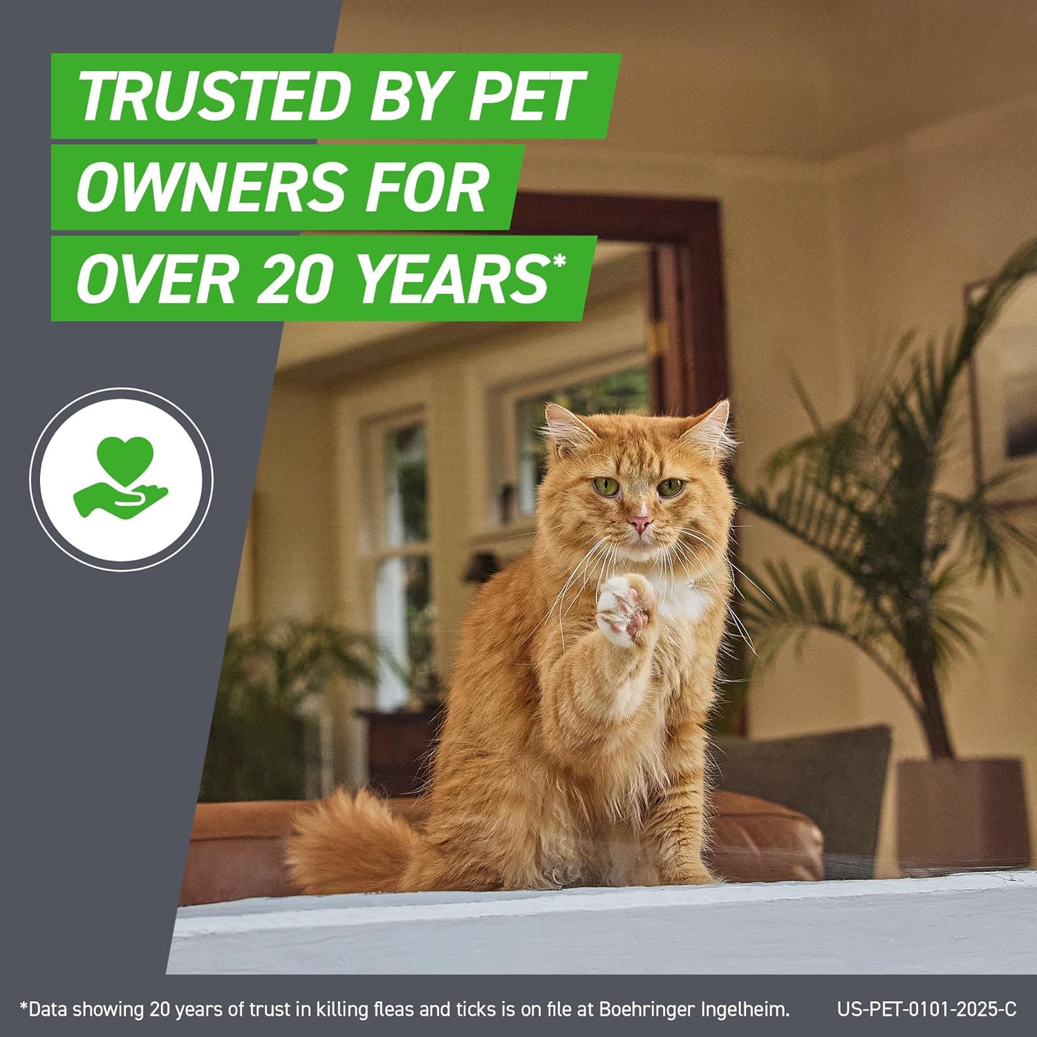 Frontline Plus Flea and Tick Treatment for Cats