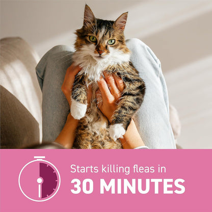 Capstar Nitenpyram 11.4mg Flea Treatment for Cats 