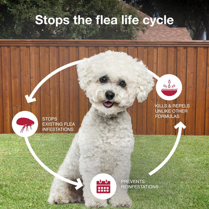 K9 Advantix II Small Dog Vet-Recommended Flea, Tick & Mosquito Treatment & Prevention | Dogs 4-10 lbs. | 6-Mo Supply