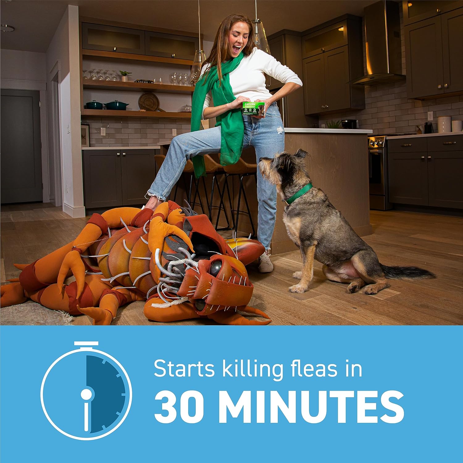 Capstar 11.4mg Flea Treatment for Small Dogs