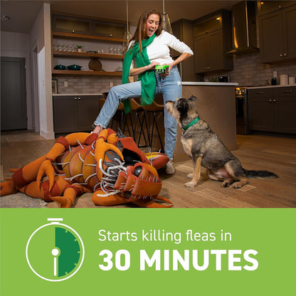 Capstar Nitenpyram Fast Acting Flea Treatment for Large Dogs
