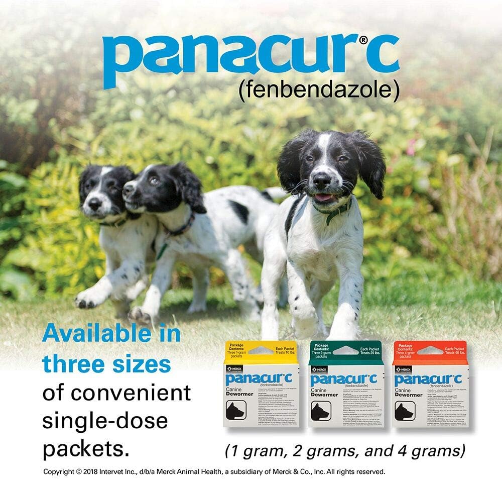 Panacur C Canine Dewormer 2g 3 Pack
