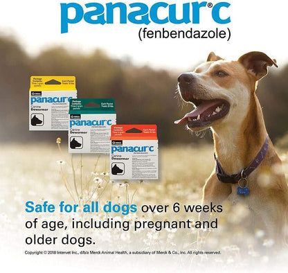 Panacur C Canine Dewormer for Dogs 4g 3 Pack Fenbendazole Worm Treatment Up to 40 lbs