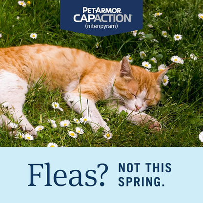 PetArmor CAPACTION (nitenpyram) Oral Flea Treatment for Cats, Cat Flea Treatment Pill, Fast Acting Tablets Start Killing in 30 Minutes, 2-25 lbs, 6 Doses