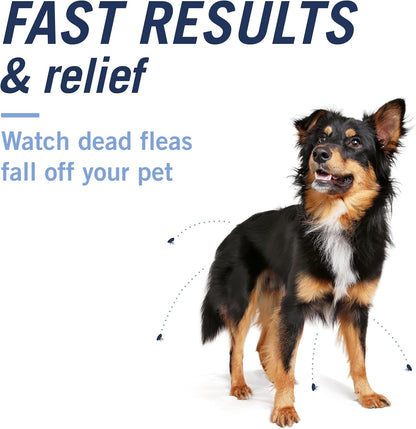 PetArmor CapAction 57mg Fast Flea Treatment for Dogs Over 25 lbs – Oral Nitenpyram Tablets (6 Count)