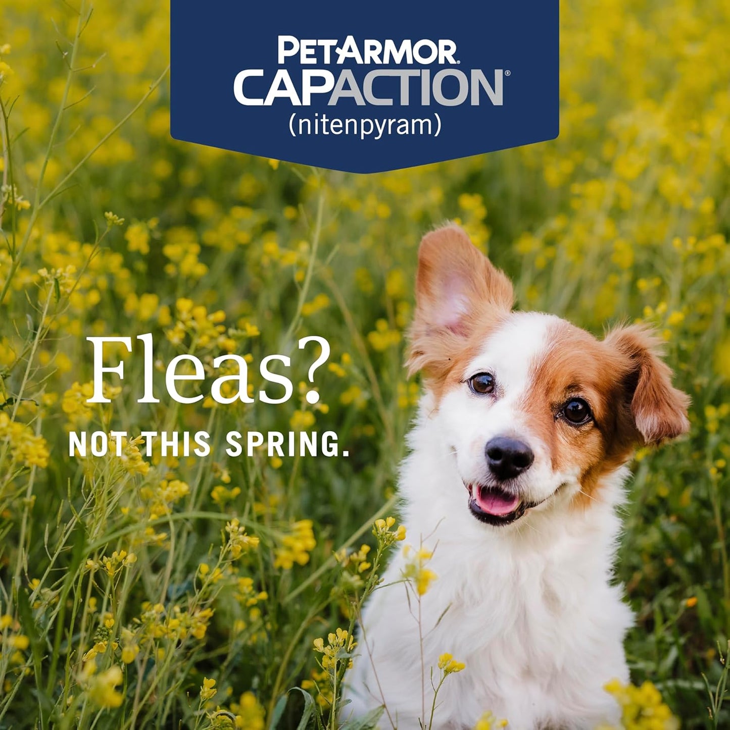 PetArmor CAPACTION (nitenpyram) Oral Flea Treatment for Dogs, Fast Acting Tablets Start Killing in 30 Minutes, Small Dog Flea Treatment 2-25 lbs, 6 Doses