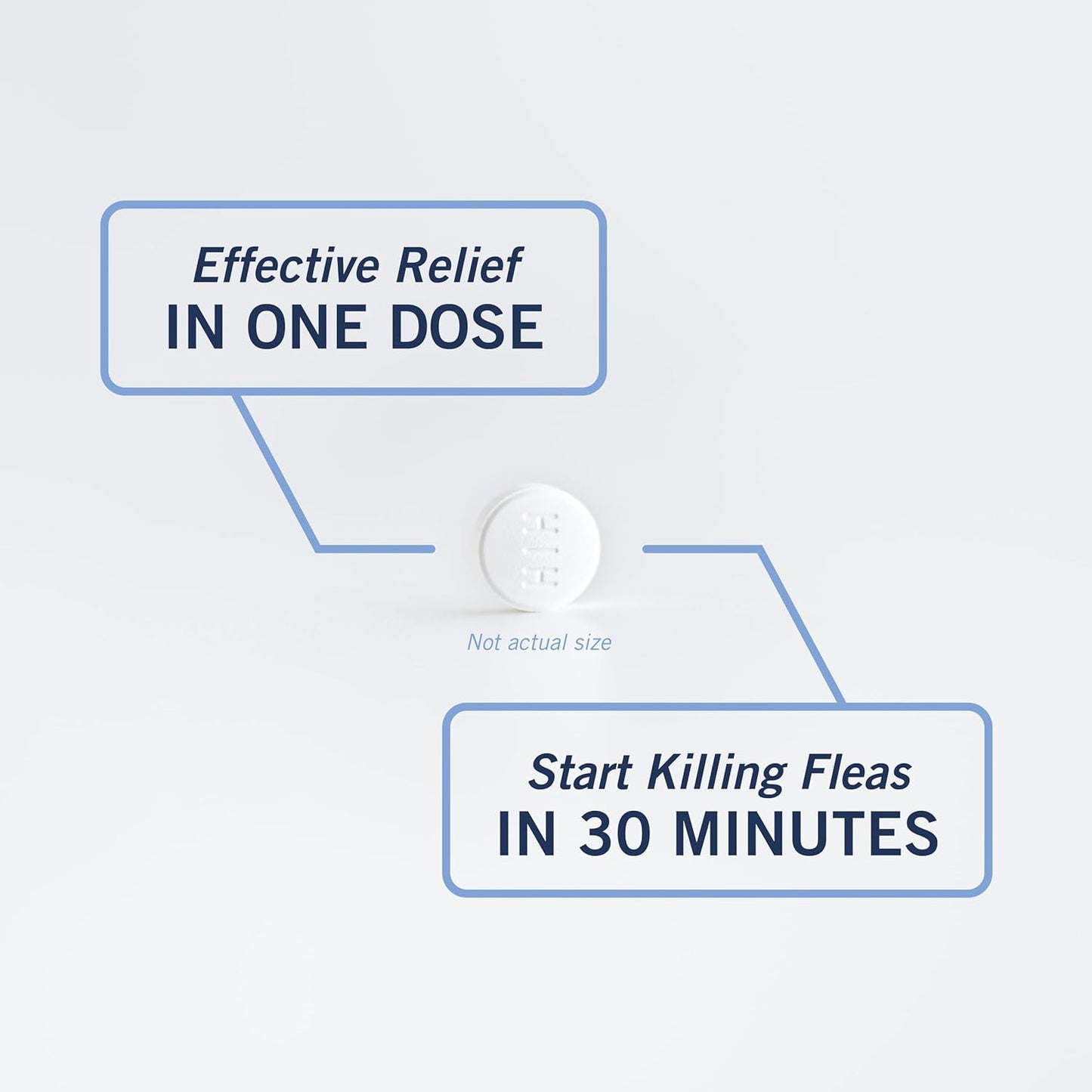 PetArmor CAPACTION (nitenpyram) Oral Flea Treatment for Dogs, Fast Acting Tablets Start Killing in 30 Minutes, Small Dog Flea Treatment 2-25 lbs, 6 Doses