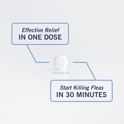 PetArmor CAPACTION (nitenpyram) Oral Flea Treatment for Dogs, Fast Acting Tablets Start Killing in 30 Minutes, Small Dog Flea Treatment 2-25 lbs, 6 Doses