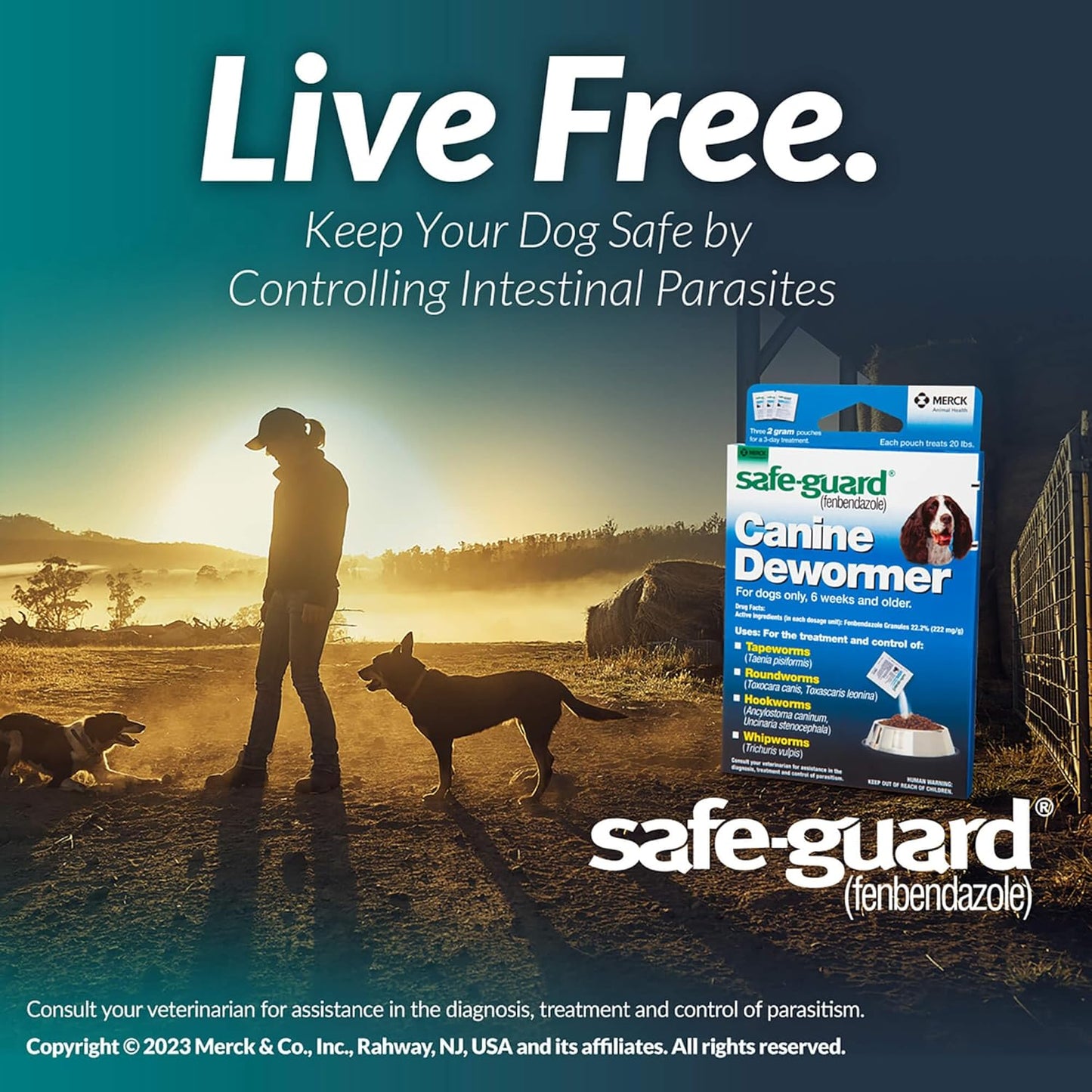 Safe-Guard Canine Dewormer for Dogs 20 lbs Fenbendazole 2g 3 Day Treatment