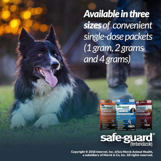 Safe Guard Fenbendazole Dog Dewormer 1gm