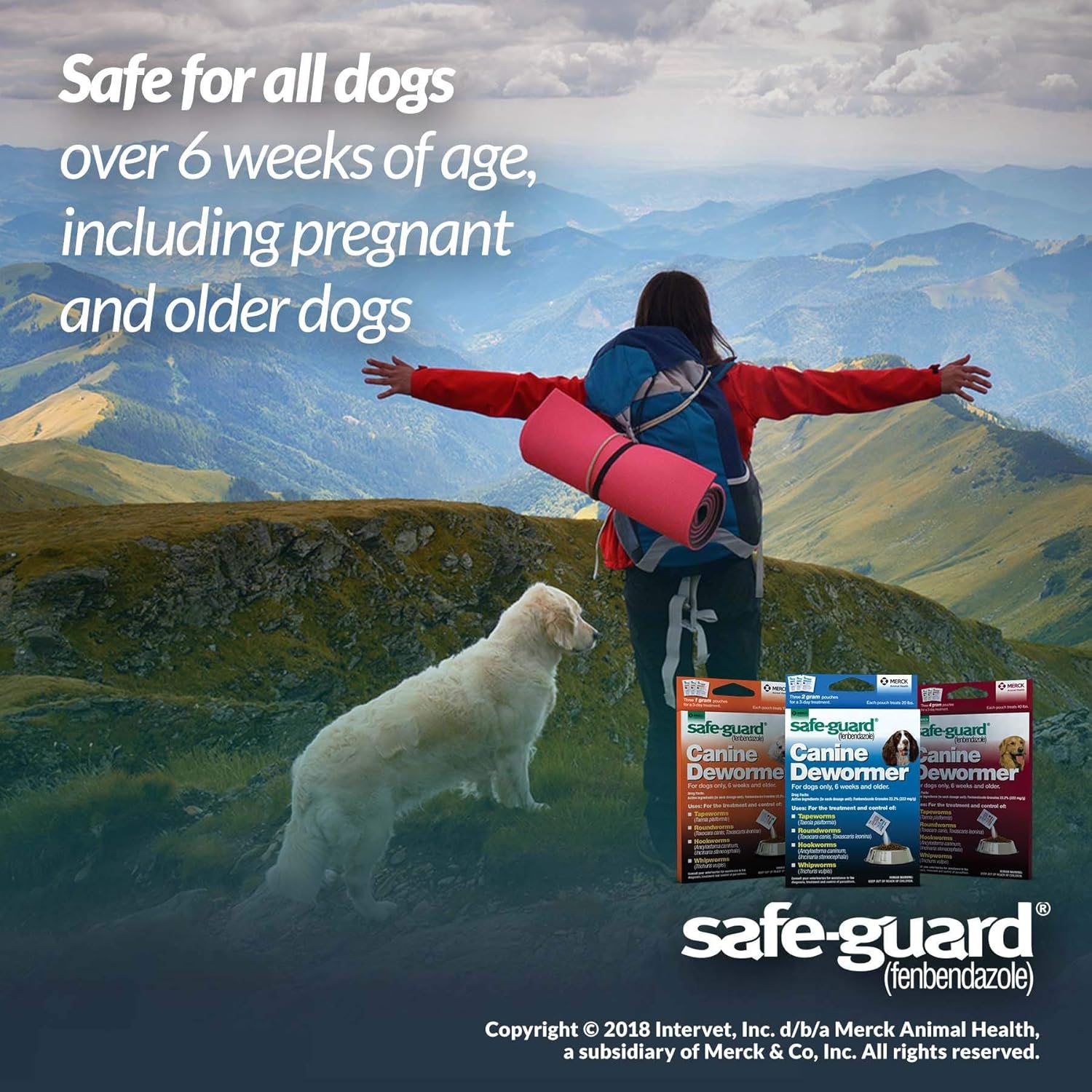 Safe Guard Fenbendazole Dog Dewormer 1gm
