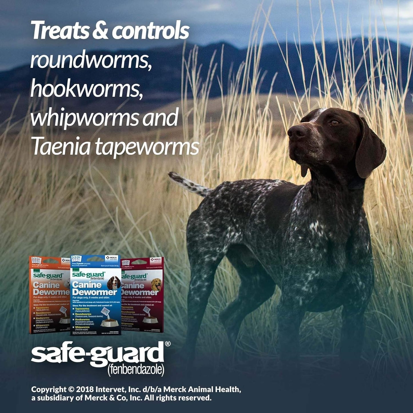 Safe-Guard Fenbendazole Dog Dewormer