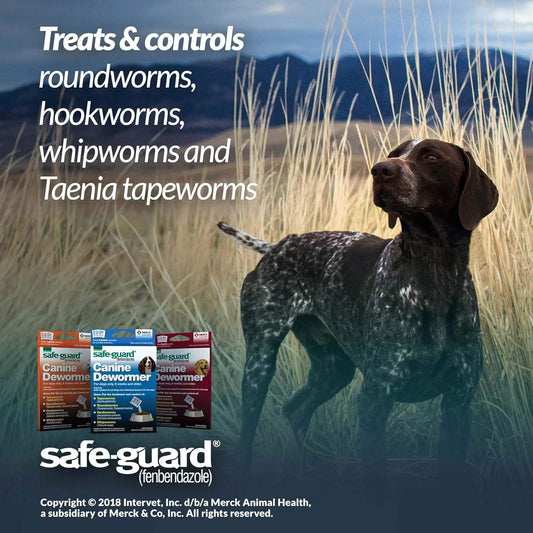 Safe-Guard Fenbendazole Dog Dewormer